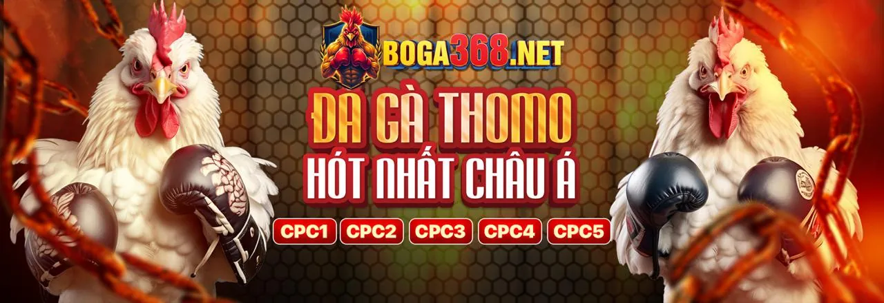 Cá cược mọi lúc mọi nơi với ứng dụng vmax88